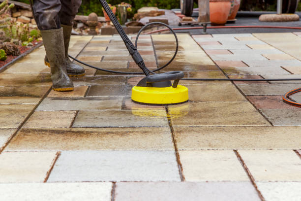 Best Animal Enclosure Cleaning  in Westminster, LA